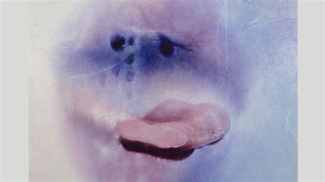 sensual mature|Sex positivity after 70: Marilyn Minter’s sensual photographs of ...